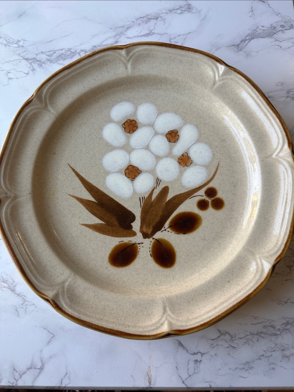 Hearthside Stoneware Dinner Plate in Cream and Brown
